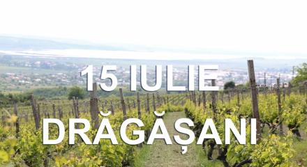 15 iulie  |  Vizite la crame si picnic in Podgoria Dragasani